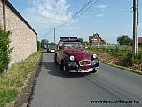 Zandlemig Vlaanderen